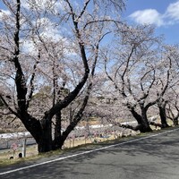 画像326