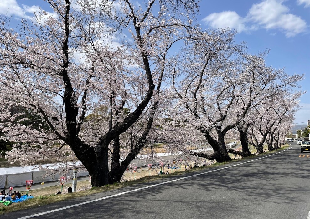 画像326